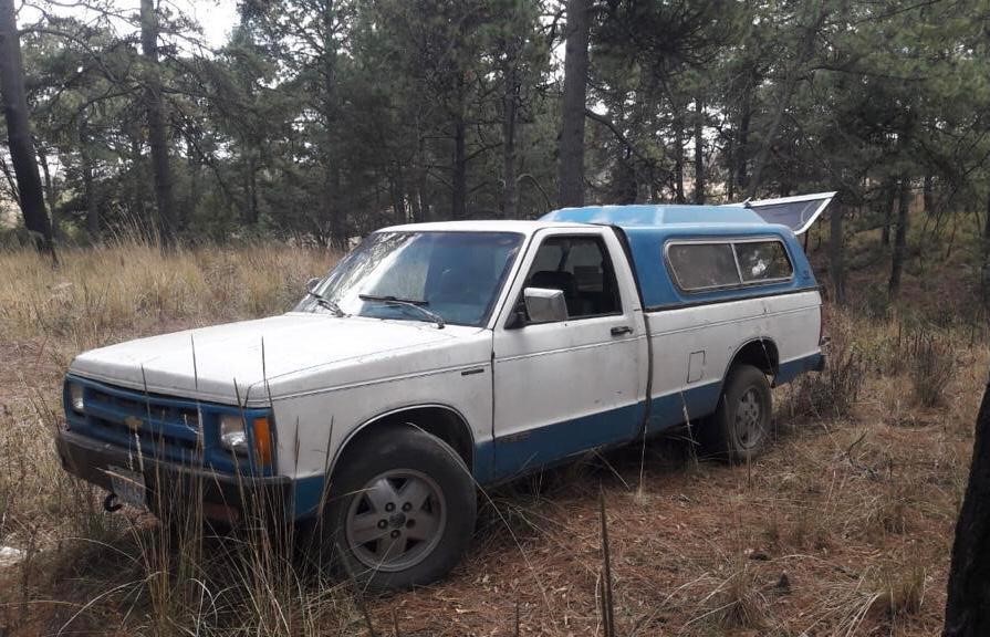 Foto: Cortesía PFM en Tlaxcala asegura recurso forestal maderable