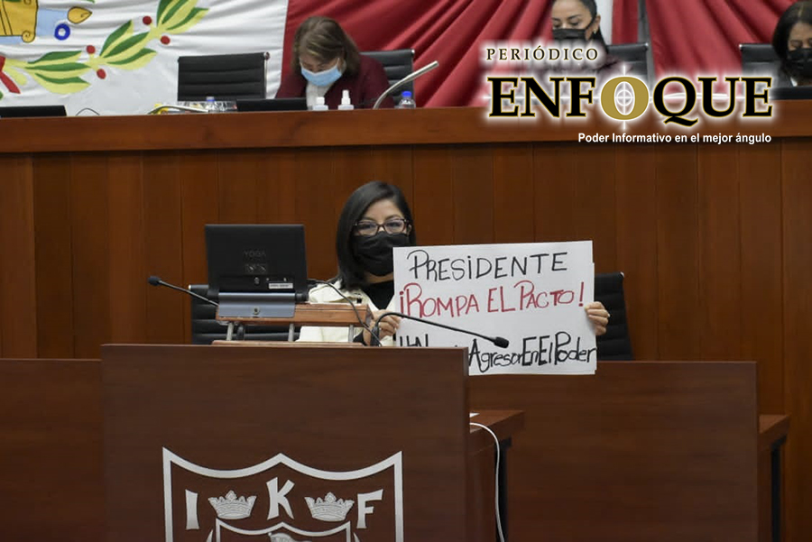Foto: Cortesía Diputada panista de Tlaxcala rechaza candidatura de Salgado Macedonio; se une a la protesta digital