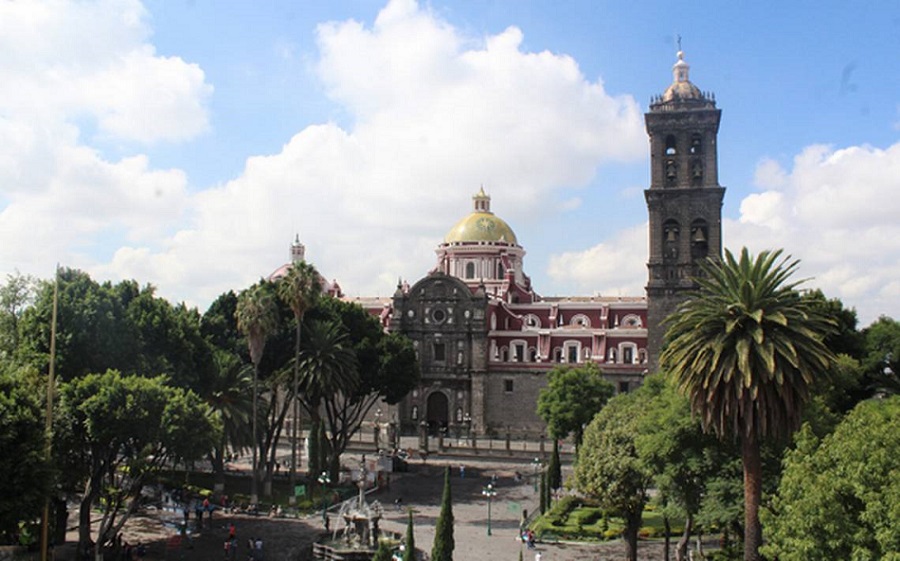 Foto: Cortesía Árboles del Zócalo necesitan poda por acumulación de agua: Ayuntamiento de Puebla