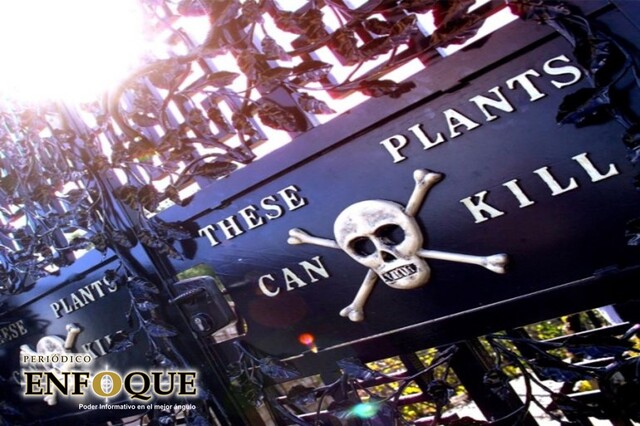 Este jardín en Reino Unido tiene plantas asesinas 