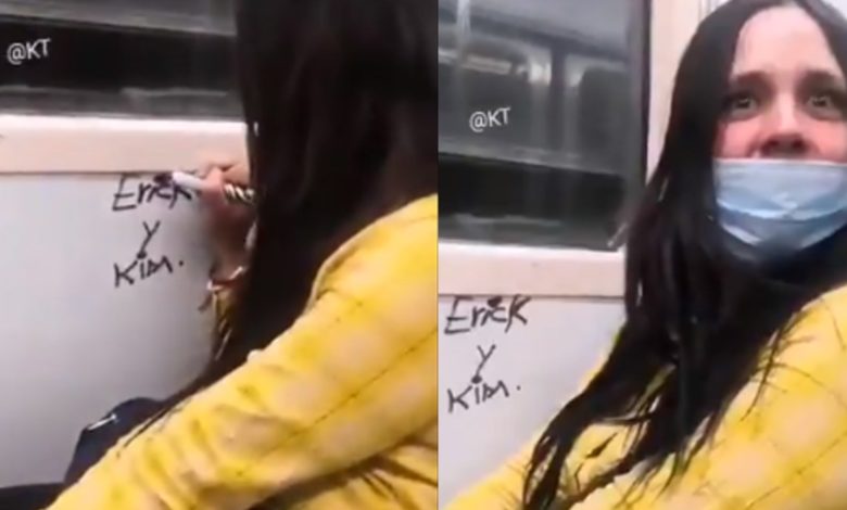 Foto: Cortesía Mujer es captada vandalizando el Metro de CDMX y es bautizada #LadyRayaVagones (Video)