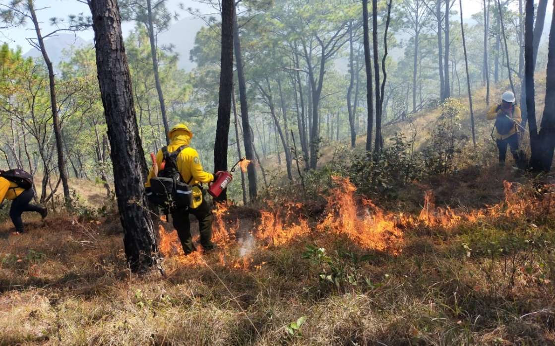 Foto: Cortesía Conafor reporta 18 incendios forestales en 10 estados