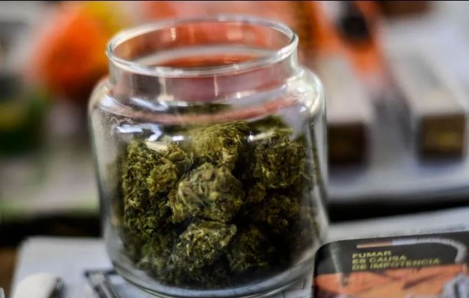 Cofepris deberá hacer públicas las normas de usos de marihuana: INAI