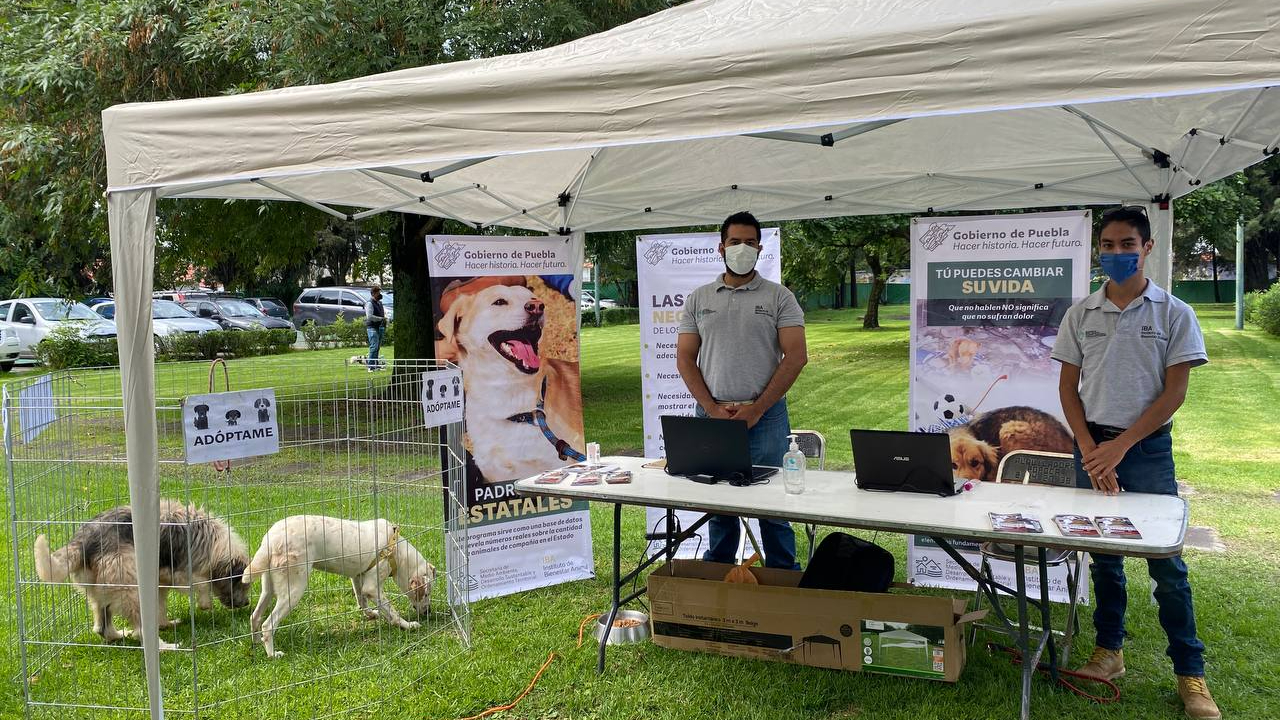 Por: Cortesía San Andrés Cholula acogió una nueva edición del #PerroGatoFest