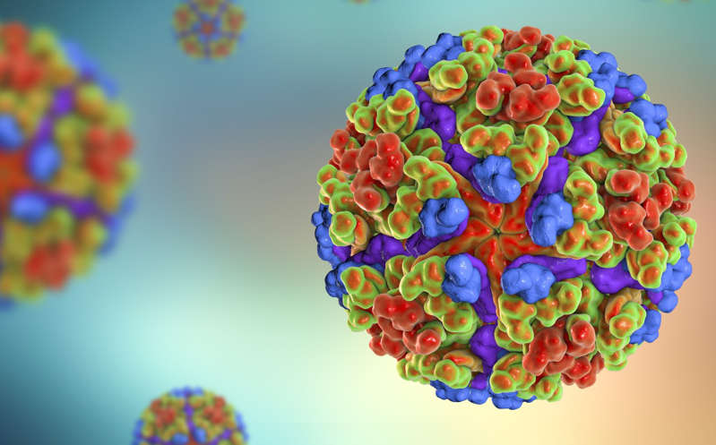 Por: Cortesía Resultado positivo de la vacuna contra el chikunguña de Valneva: Reporte