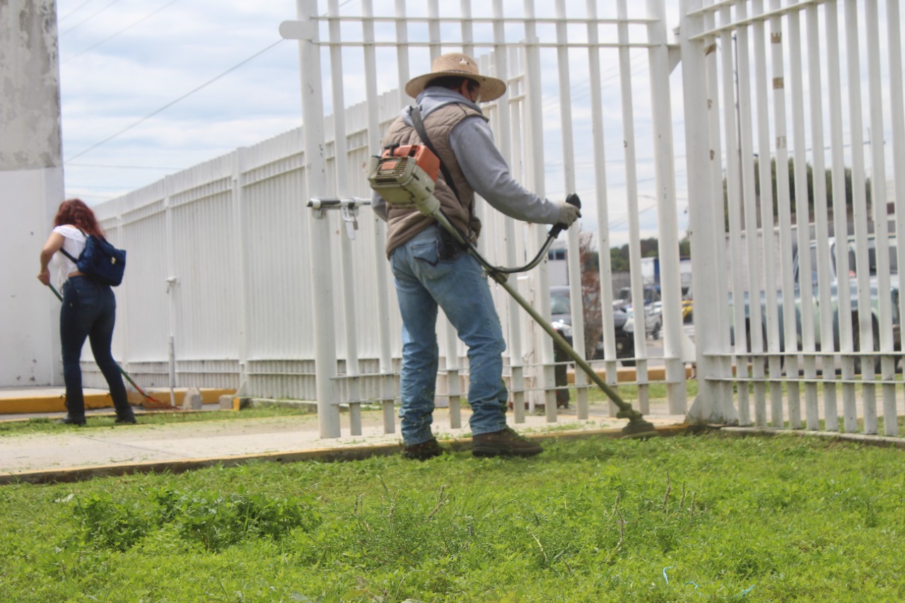 Por: Cortesía En Amozoc realizan limpia y poda en espacios públicos