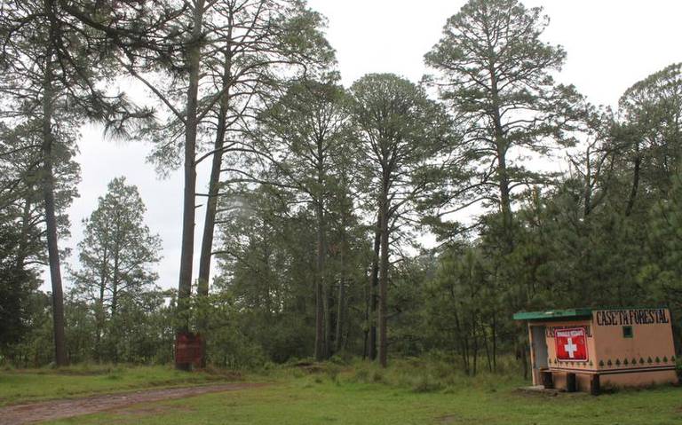 Por: Cortesía Continúan los cuidados y actividades en entornos de las luciérnagas