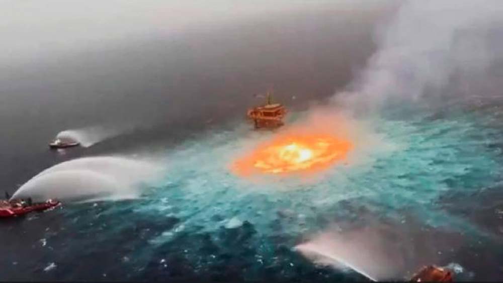 Por: Cortesía Tortugas, delfines y miles de especies marinas, las víctimas del ‘fuego en el mar’ en Campeche