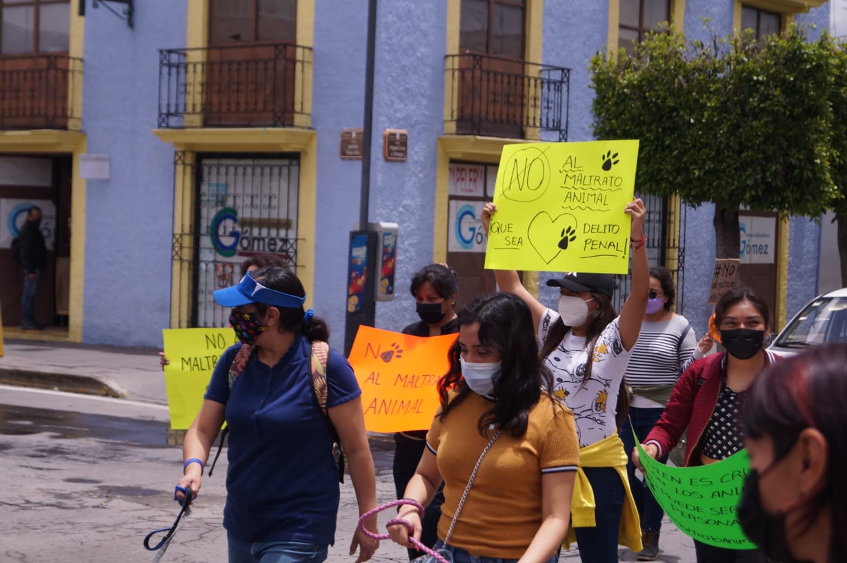 Alto al maltrato animal, piden tlaxcaltecas en marcha 