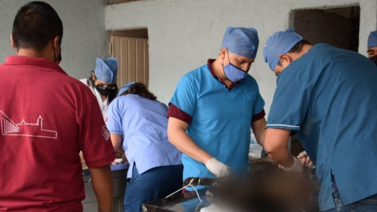 Por: Cortesía San Pedro Cholula continúa con su Jornada de Esterilización Gratuita para Animales Domésticos