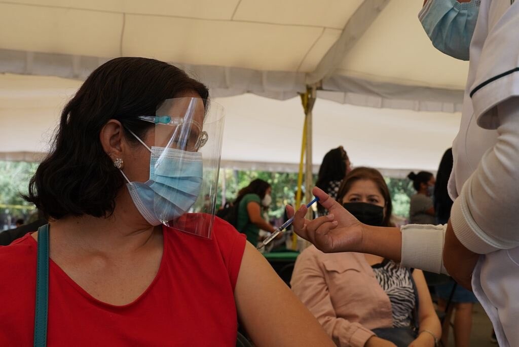 Por: Cortesía Cómo descargar el expediente de vacunación indispensable para tu cita; CDMX