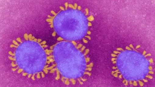 Delta: las 5 mutaciones hacen esta variante del coronavirus más contagiosa y preocupante