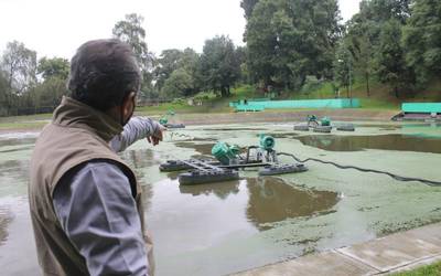 Jardín  Botánico de Tizatlan abre sus pantanos y canales.