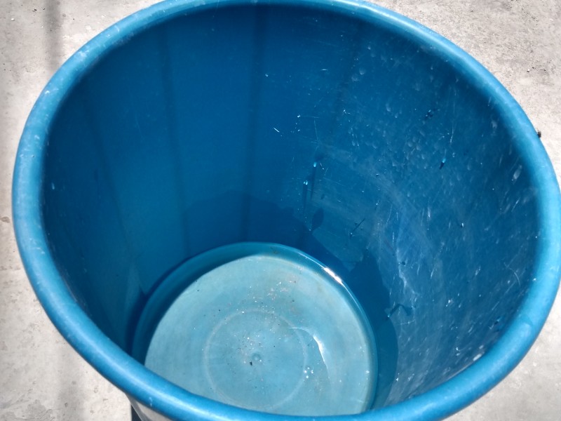 Por: Cortesía Captarán agua de lluvia en 600 casas de Zapopan