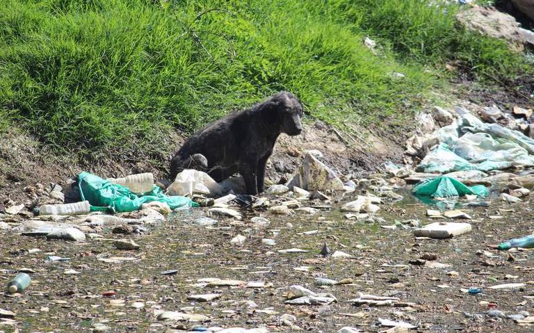Por: Cortesía Próximo alcalde de Huamantla comparte sus metas para el municipio