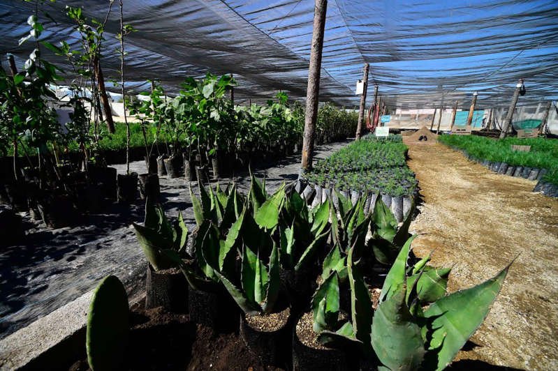 Por: Cortesía Secuestran a trabajadores de Sembrando Vida en Guerrero