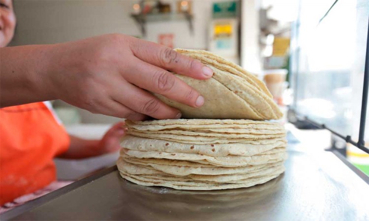 Kilo de tortilla podría llegar a los 19 pesos en Puebla