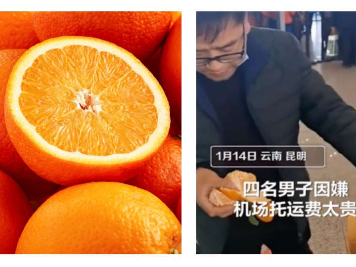 Por: Cortesía Turistas optan por comer 30 kilos de naranjas para evitar pagar exceso de equipaje en aeropuerto