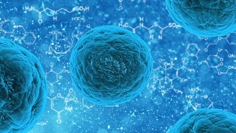 Por: Cortesía Norovirus, qué es la “gripe estomacal” que registra brote en Reino Unido