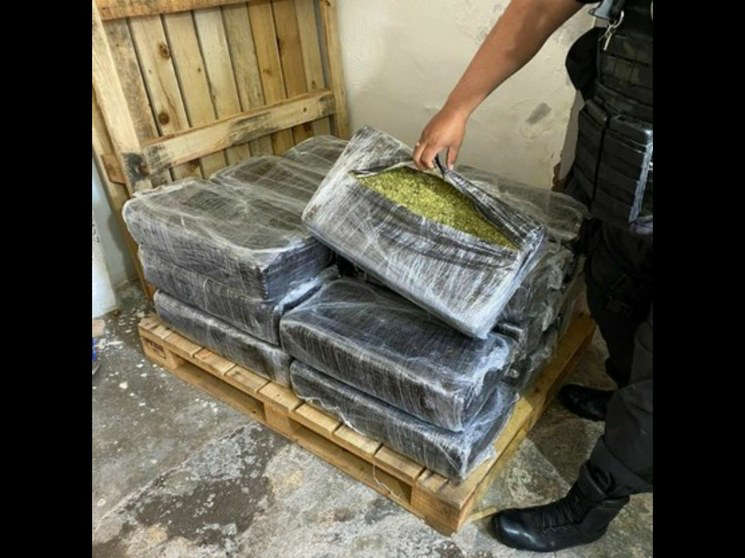 Por: Cortesía El comercio de mariguana por cárteles es un fenómeno histórico": UIF