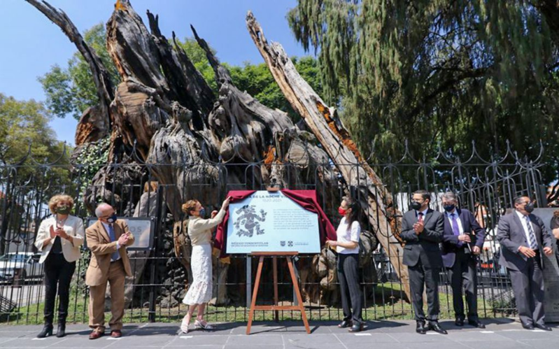 Por: Cortesía Renombran árbol de la ‘Noche Triste’ como la Plaza de la Noche Victoriosa