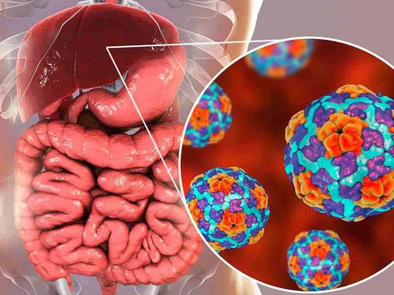 Por: Cortesía Cada minuto y medio muere una persona a causa de la hepatitis: IMSS