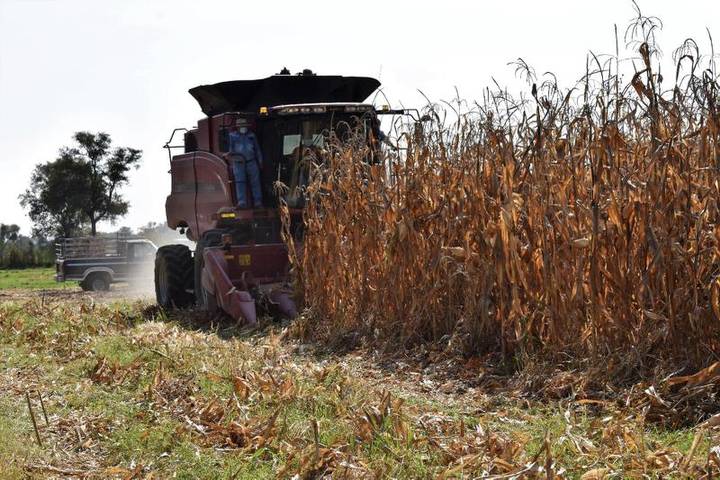 Por: Cortesía Zacatelco se ha beneficiado de la adquisición de la cosechadora dese 2019 de