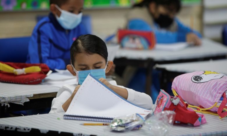 Por: Cortesía ¿Qué estados volverán a clases presenciales hasta el próximo ciclo escolar? SEP da detalles