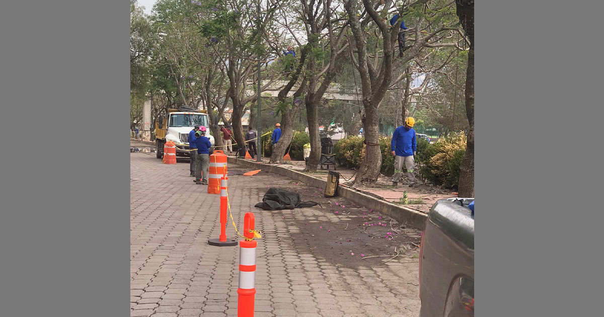 Por: Cortesía Se terminó el saneamiento de Jacarandas en la capital tlaxcalteca
