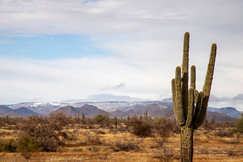 Por: Cortesía El lugar con mayores temperaturas del mundo está en México