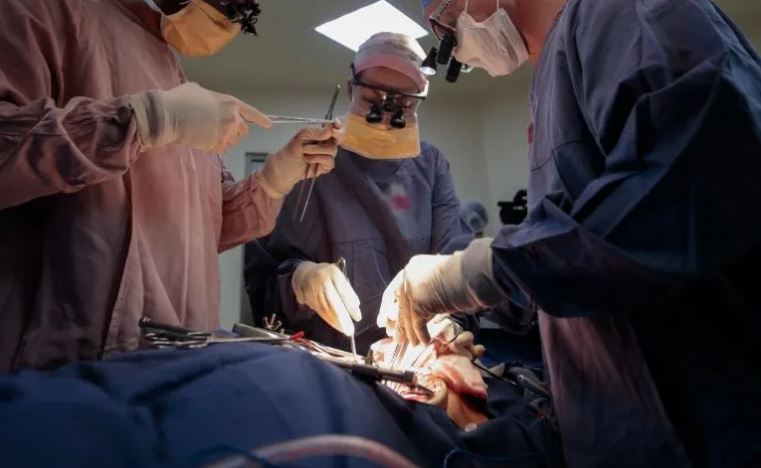 Con éxito, trasplantan en Italia dos corazones de donantes COVID-19