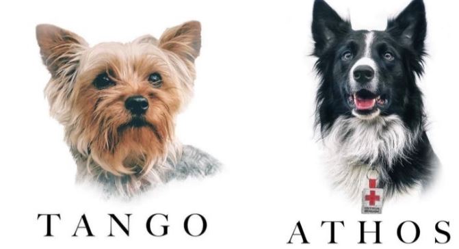 Joven que abofeteó a Macron pasará 4 meses en prisión, según tribunal francés