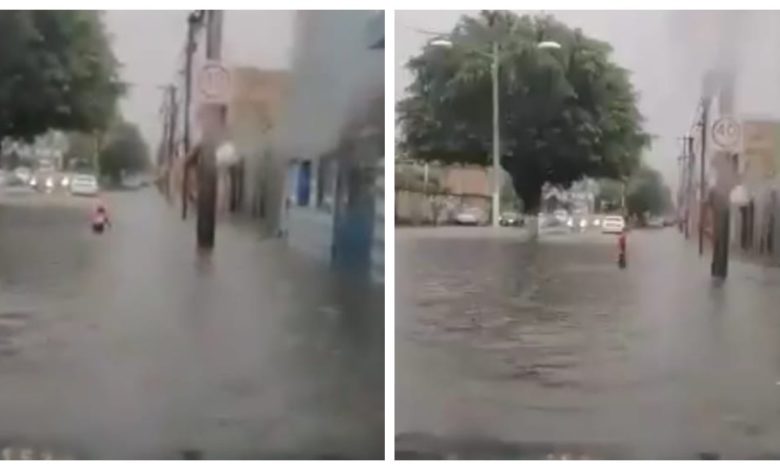 Por: Cortesía "Al mal tiempo buena cara": Captan a niño nadando en plena inundación (Video)