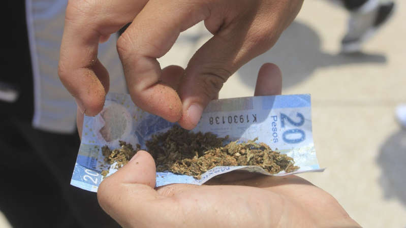 Por: Cortesía Suprema Corte elimina la prohibición del uso lúdico de la cannabis