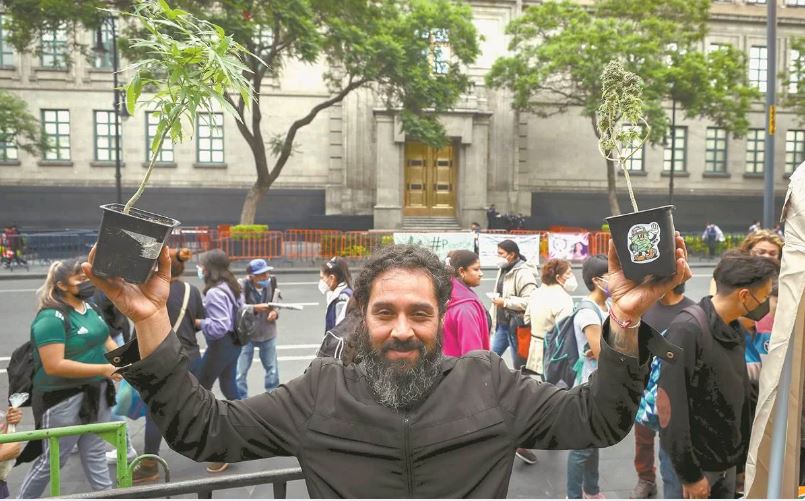 Corte da revés a Congreso: avala uso lúdico de la marihuana