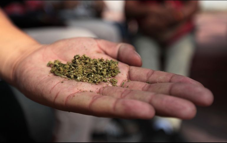 Por: Cortesía Cofepris: Las reglas para tramitar permiso de consumir marihuana