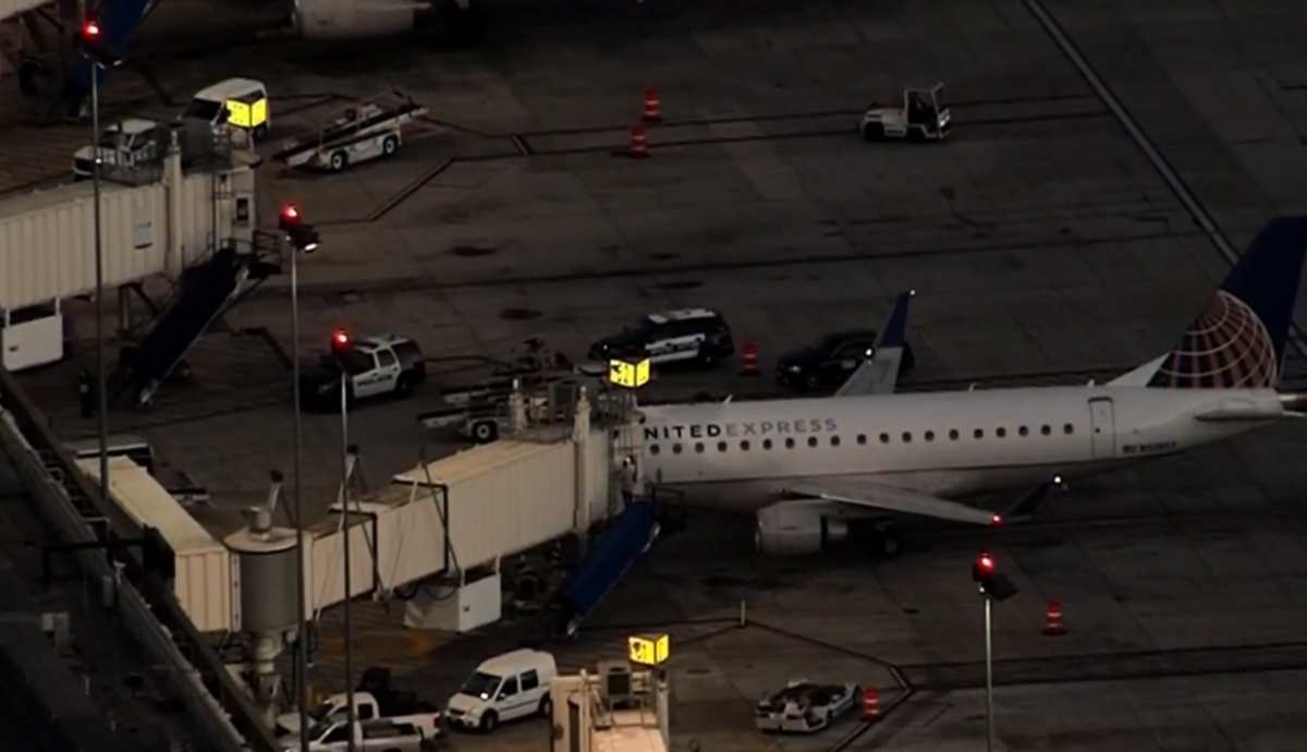 Por: Cortesía Mexicano que saltó de avión en Los Ángeles podría enfrentar hasta 20 años de prisión