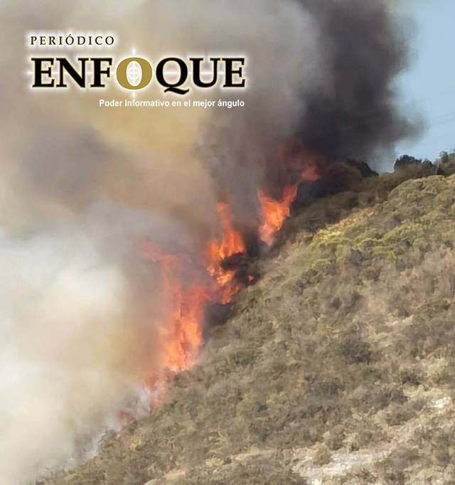 Foto: Cortesía En lo que va del año, registran 59 incendios forestales, según Conafor