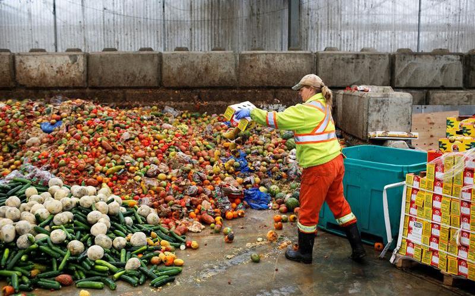 Foto: Cortesía Casi el 20% de los alimentos disponibles en el mundo se desperdician al año, revela ONU