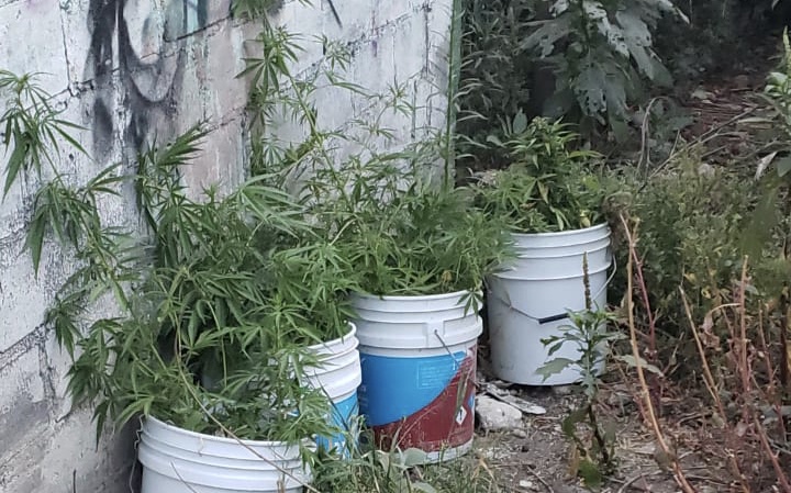 Foto: Cortesía Cumplimenta la PFM cateo en Zacatelco