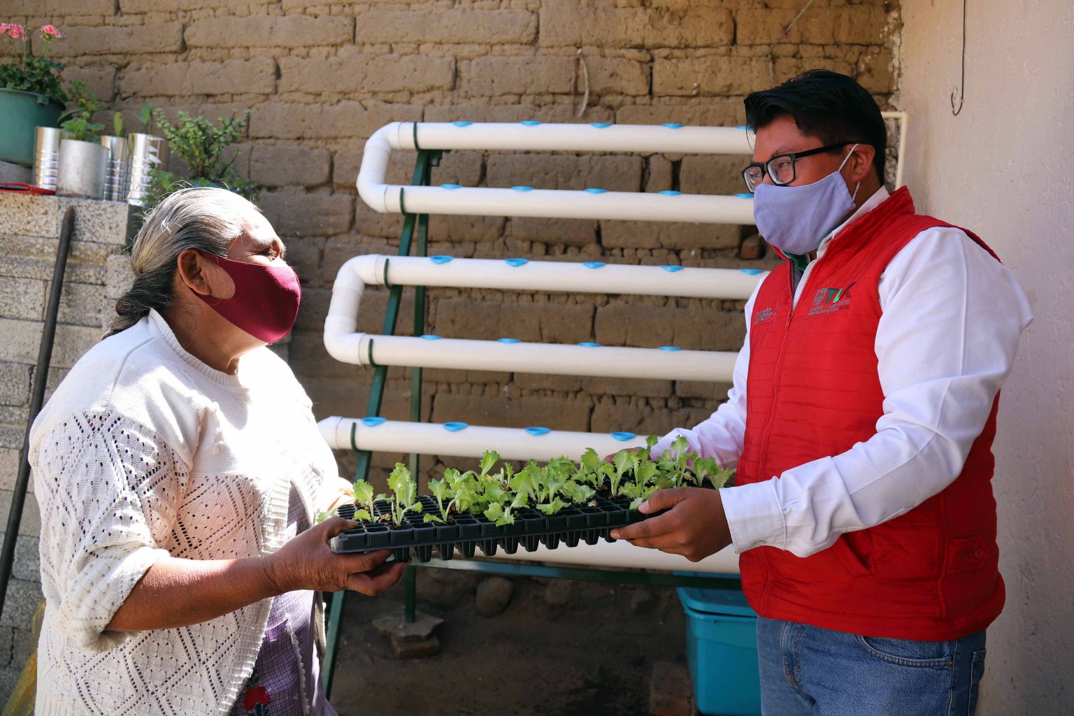 Foto: Cortesía Inicia “Supérate” entrega de paquetes de hidroponía a familias beneficiarias