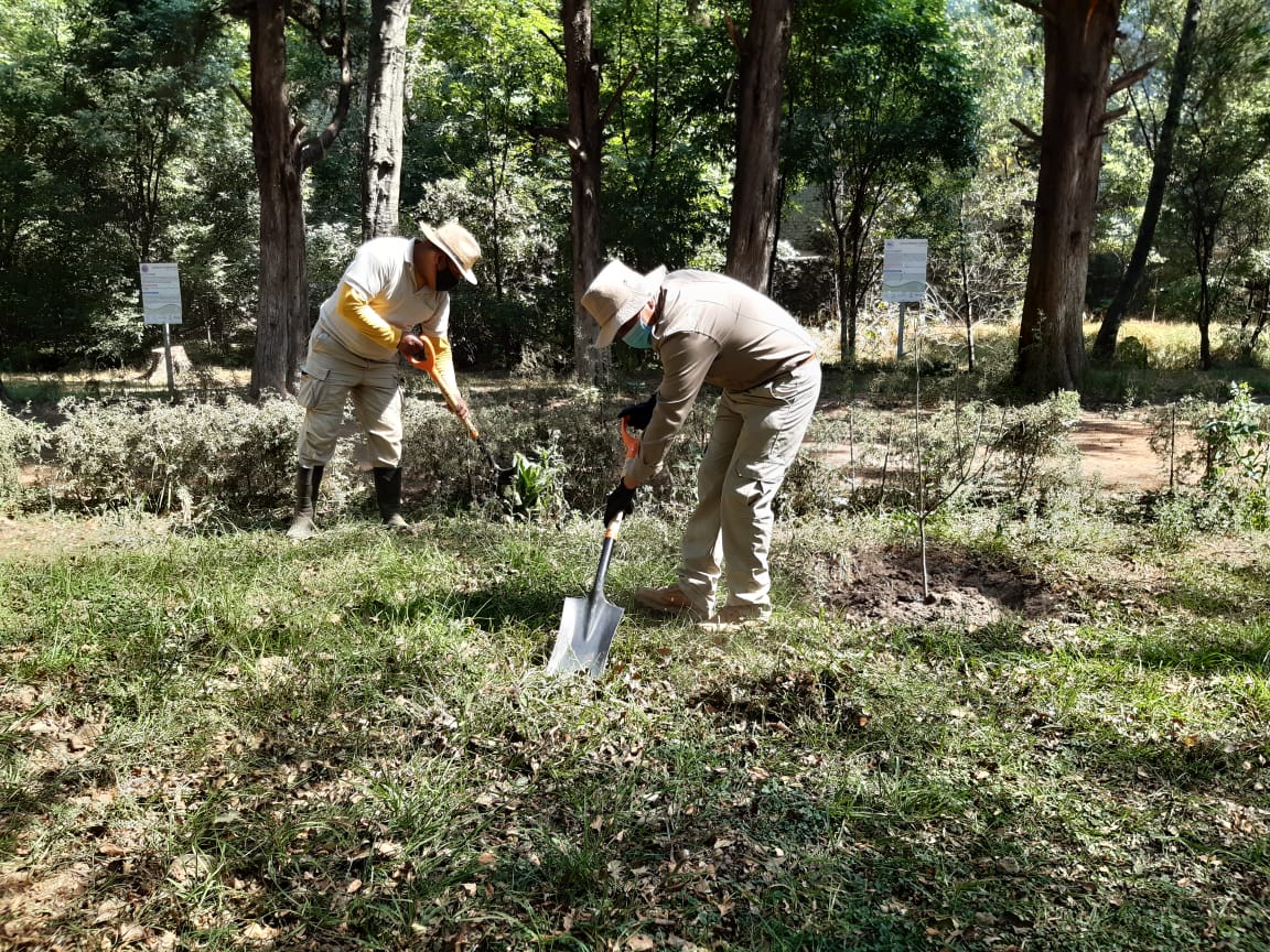 Foto: Cortesía Contribuye CGE a conservar ecosistemas en el área natural protegida “La Cueva”