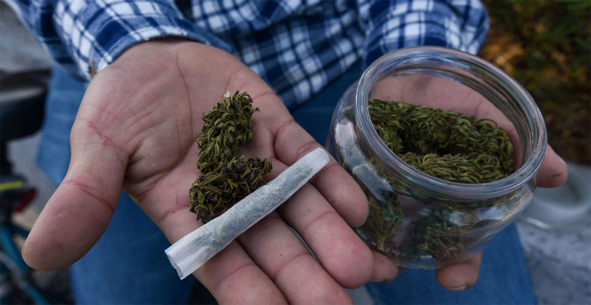 Foto: Cortesía Uso lúdico de marihuana en México: Diputados lo aprueban en lo general