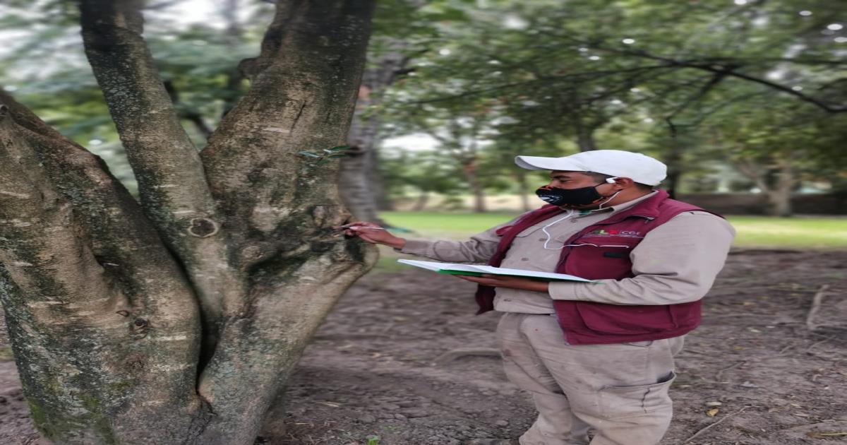 Realiza CGE acciones de mantenimiento y embellecimiento en el Jardín Botánico Tizatlán
