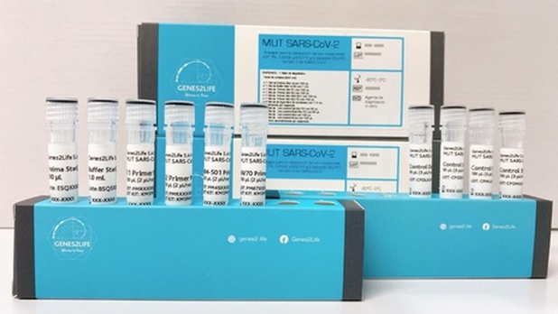 kit mut sars cov detecta thumb 589 348