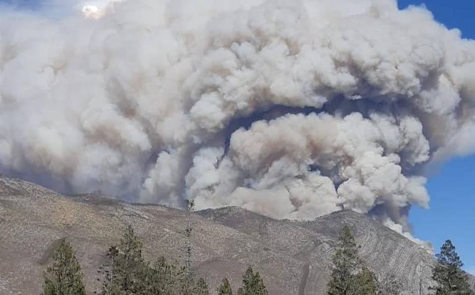 Foto: Cortesía Incendio consume en Arteaga 3,500 hectáreas en Coahuila