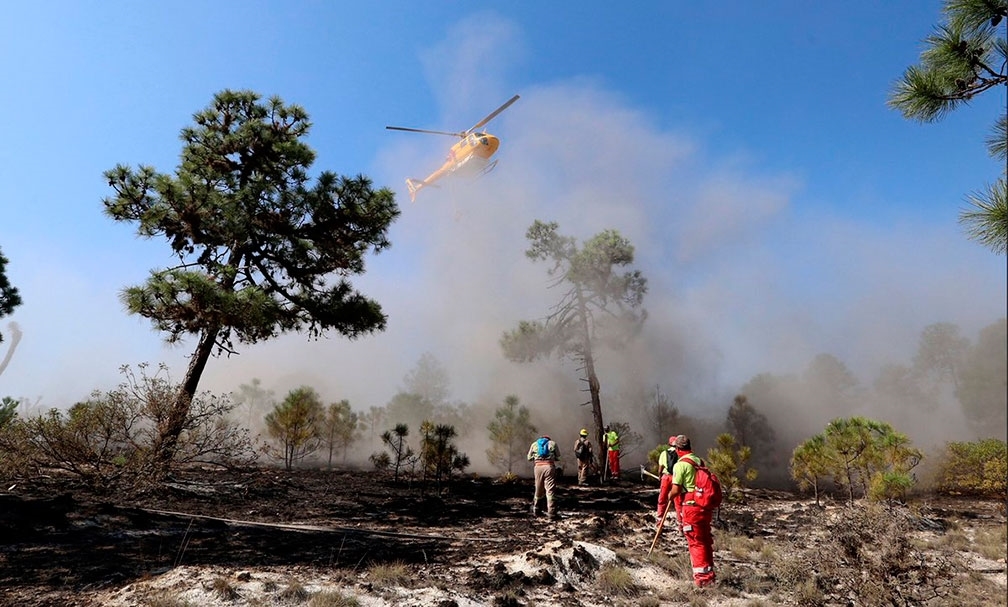 Foto: Cortesía Tras 5 días de lucha, controlan un 70% incendio en Santiago, NL; 6 mil 15 hectáreas se afectaron
