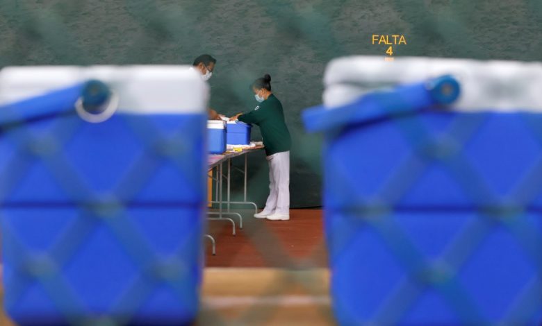 Foto: Cortesía ¿México podrá iniciar pronto la vacunación masiva? SRE detalla arribo de millones de vacunas