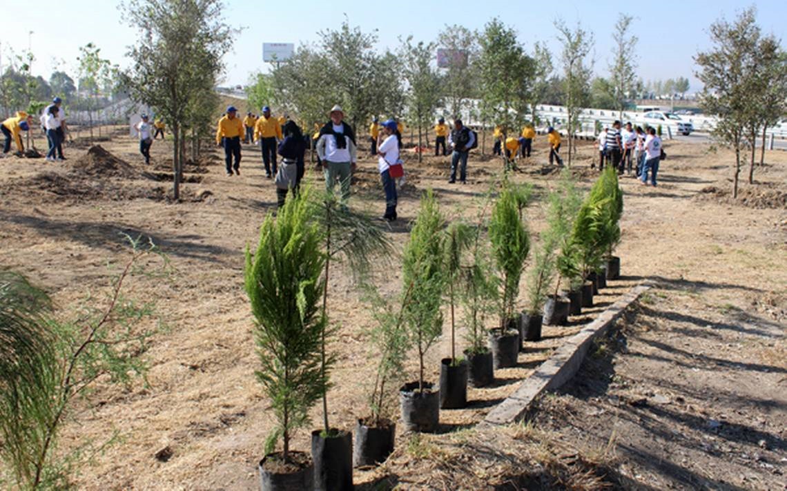 Foto: Cortesía Plantarán en Puebla mil 931 ejemplares arbóreos para mitigar cambio climáticoPlantarán en Puebla mil 931 ejemplares arbóreos para mitigar cambio climático
