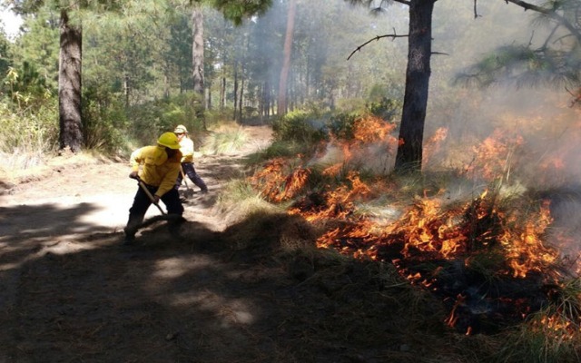 Foto: Cortesía Registra Puebla 278 incendios forestales en lo que va del 2021